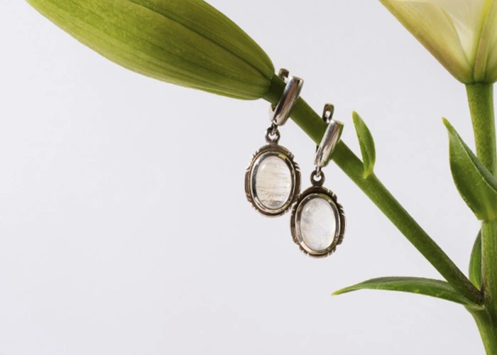 Pendientes Tous Pendientes Tous de segunda mano colgantes de plata sobre fondo blanco junto a una planta.